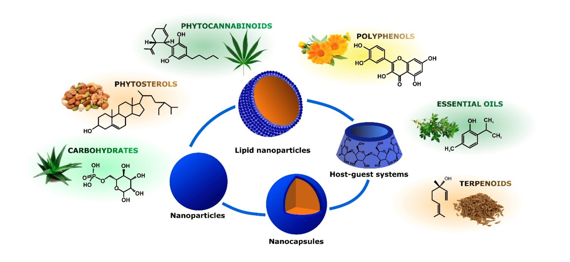 Nano encapsulation THC bioavailability not all edibles are created equal