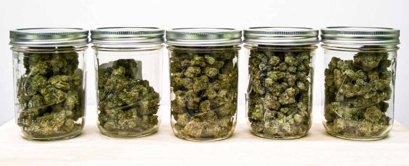 cannabis jars 